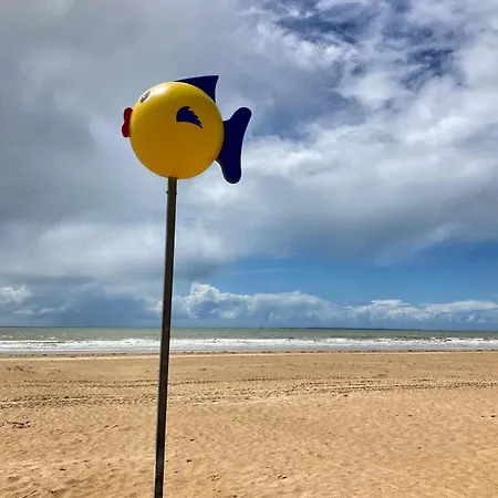 Estacade D Exception Vue * Saint-Jean-de-Monts